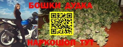 прущие грибы Ипатово