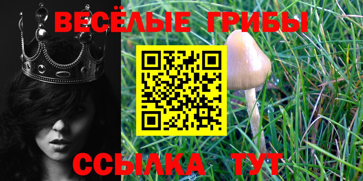 Галлюциногенные грибы мицелий  Вход с VPN  Ленинск-Кузнецкий 